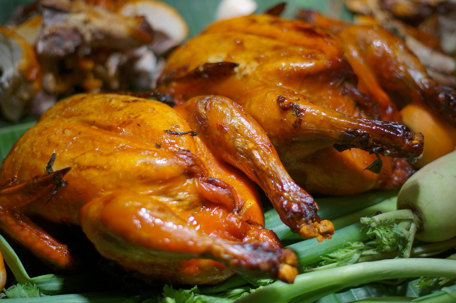 WhatsApp Image 2026-03-03 at 23.13.30